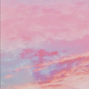 Meet your Posher, Amelia